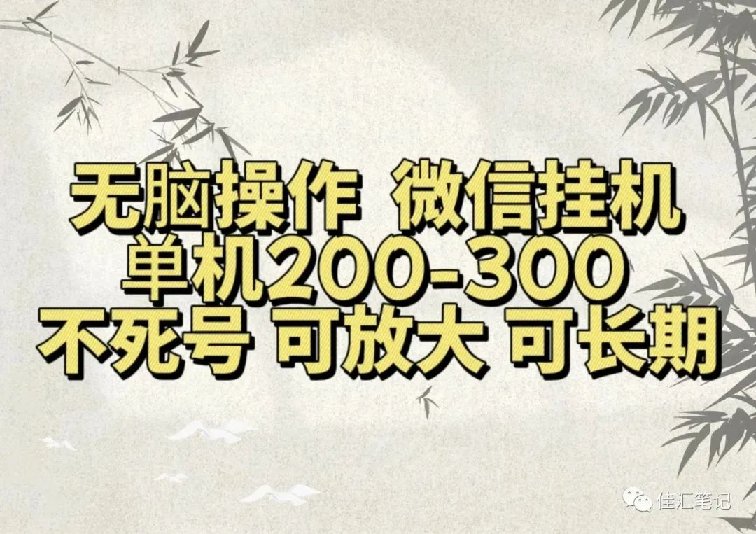 无脑操作微信视频号挂机单机200-300一天，不死号，可放大，工作室实测-天天资源网