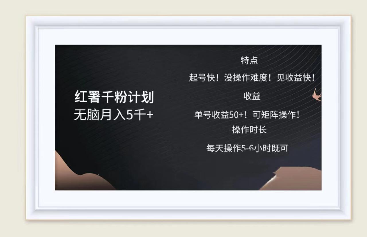 红薯千粉计划无脑月入5千➕！既做既赚！-天天资源网