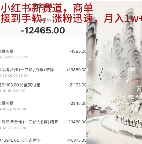 小红书新赛道，商单接到手软，涨粉迅速，一个月1w+-天天资源网