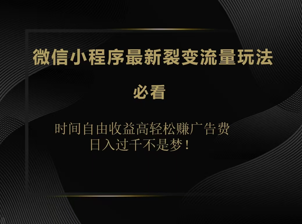 微信小程序最新裂变流量玩法，时间自由收益高轻松赚广告费，日入200-500+-天天资源网
