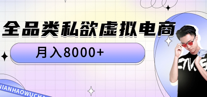 全品类私域虚拟电商，月入8000+-天天资源网