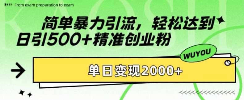 简单暴力引流轻松达到日引500+精准创业粉，单日变现2k【揭秘】-天天资源网