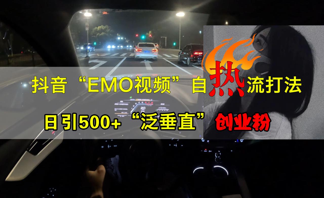 抖音EMO视频自热打法，日引500+创业粉“泛垂直”-天天资源网
