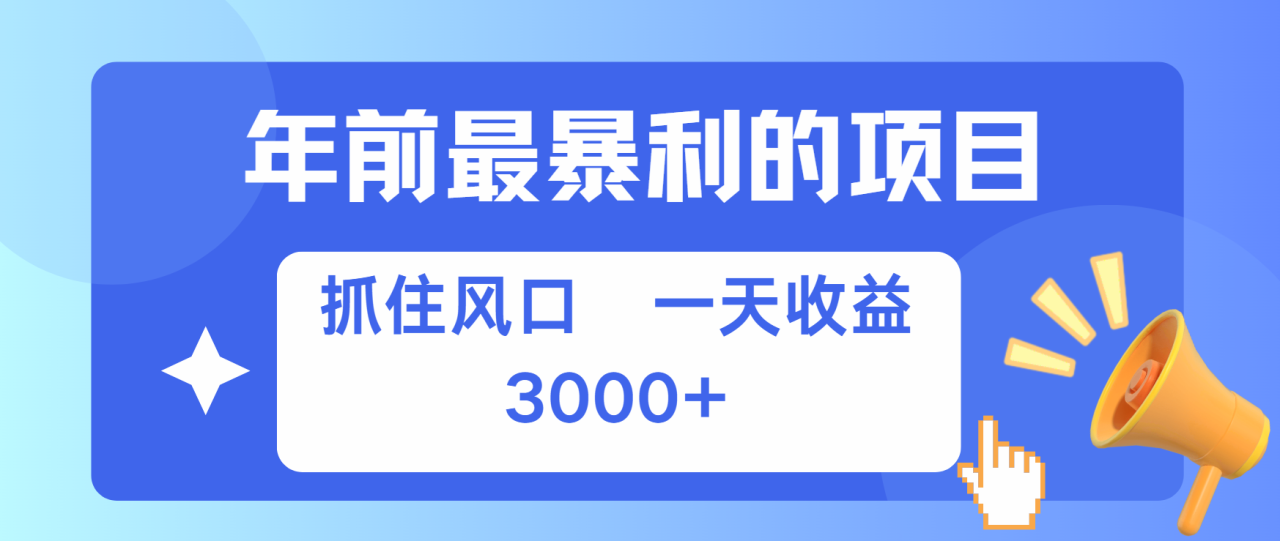 年前最赚钱的项目之一，可以过个肥年-天天资源网
