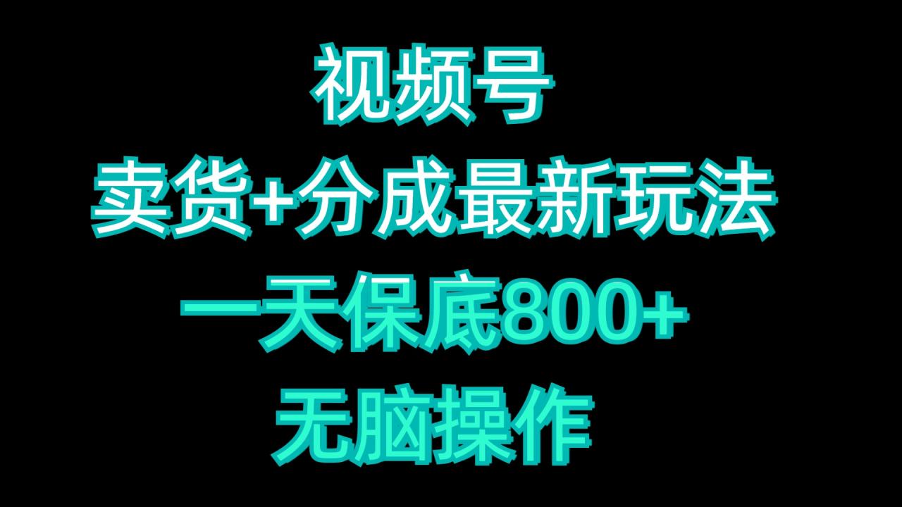 视频号卖货+分成最新玩法，一天保底800+，无脑操作-天天资源网
