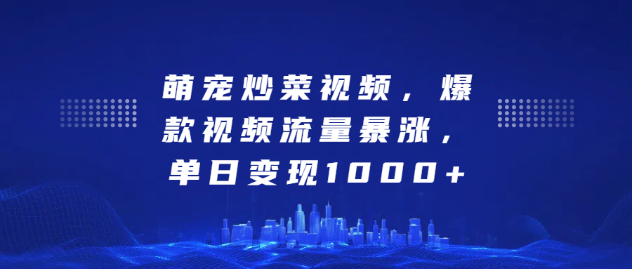 萌宠炒菜视频，爆款视频流量暴涨，单日变现1000+-天天资源网