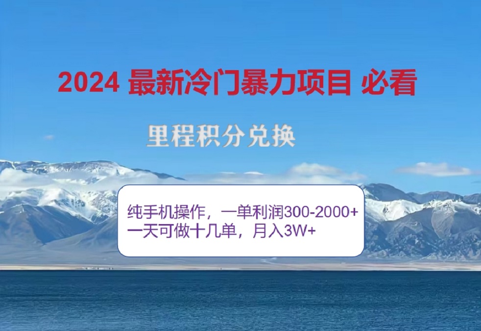 2024惊爆冷门暴利！出行高峰来袭，里程积分，高爆发期，一单300+—2000+，月入过万不是梦！-天天资源网