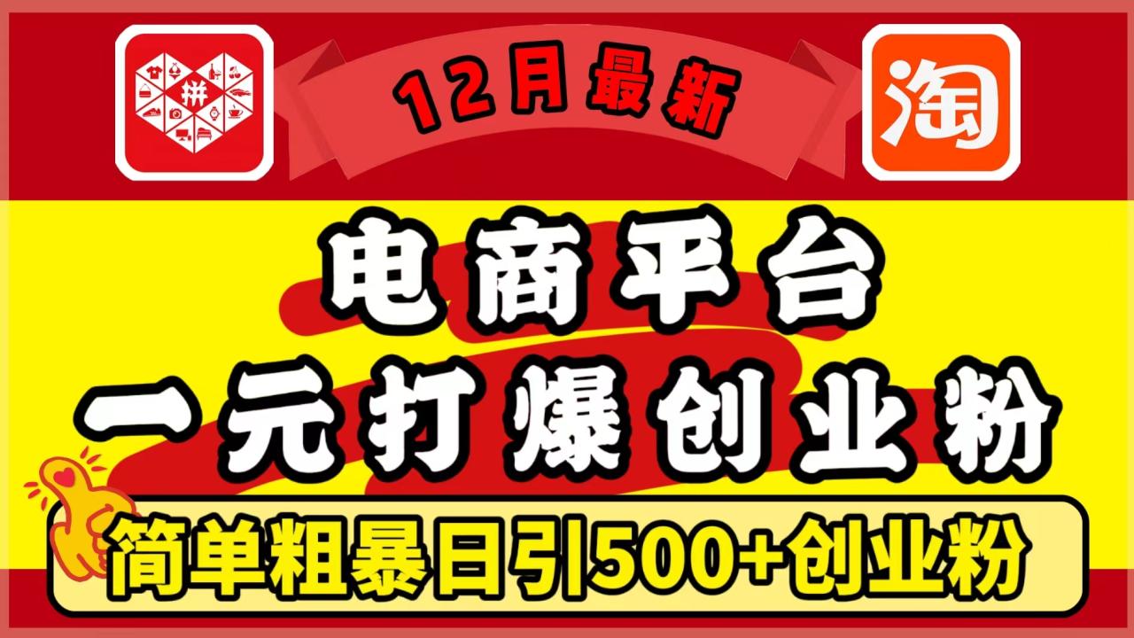 12月最新：电商平台1元打爆创业粉，简单粗暴日引500+精准创业粉，轻松月入5万+-天天资源网