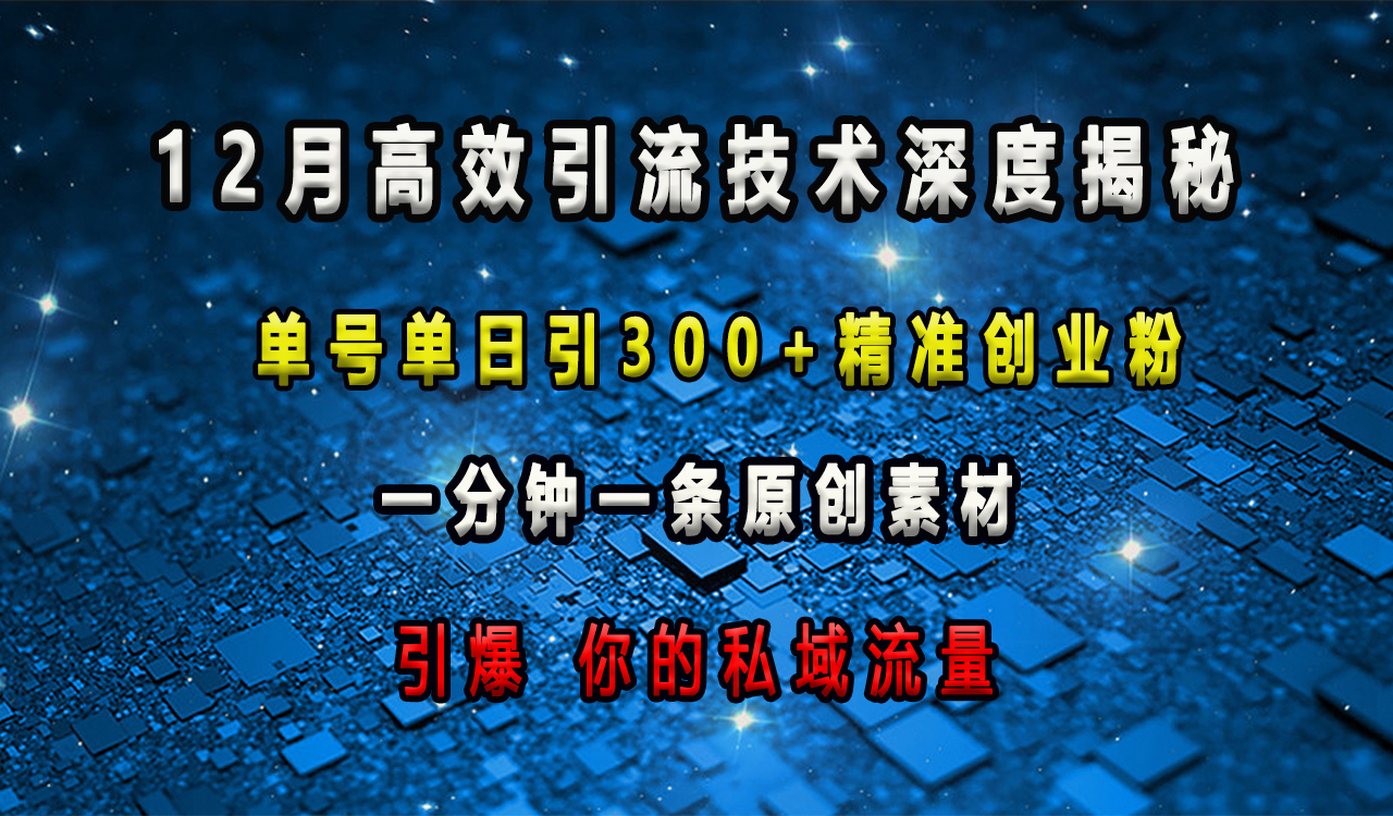 12月高效引流技术深度揭秘 ，单号单日引300+精准创业粉，一分钟一条原创素材，引爆你的私域流量-天天资源网