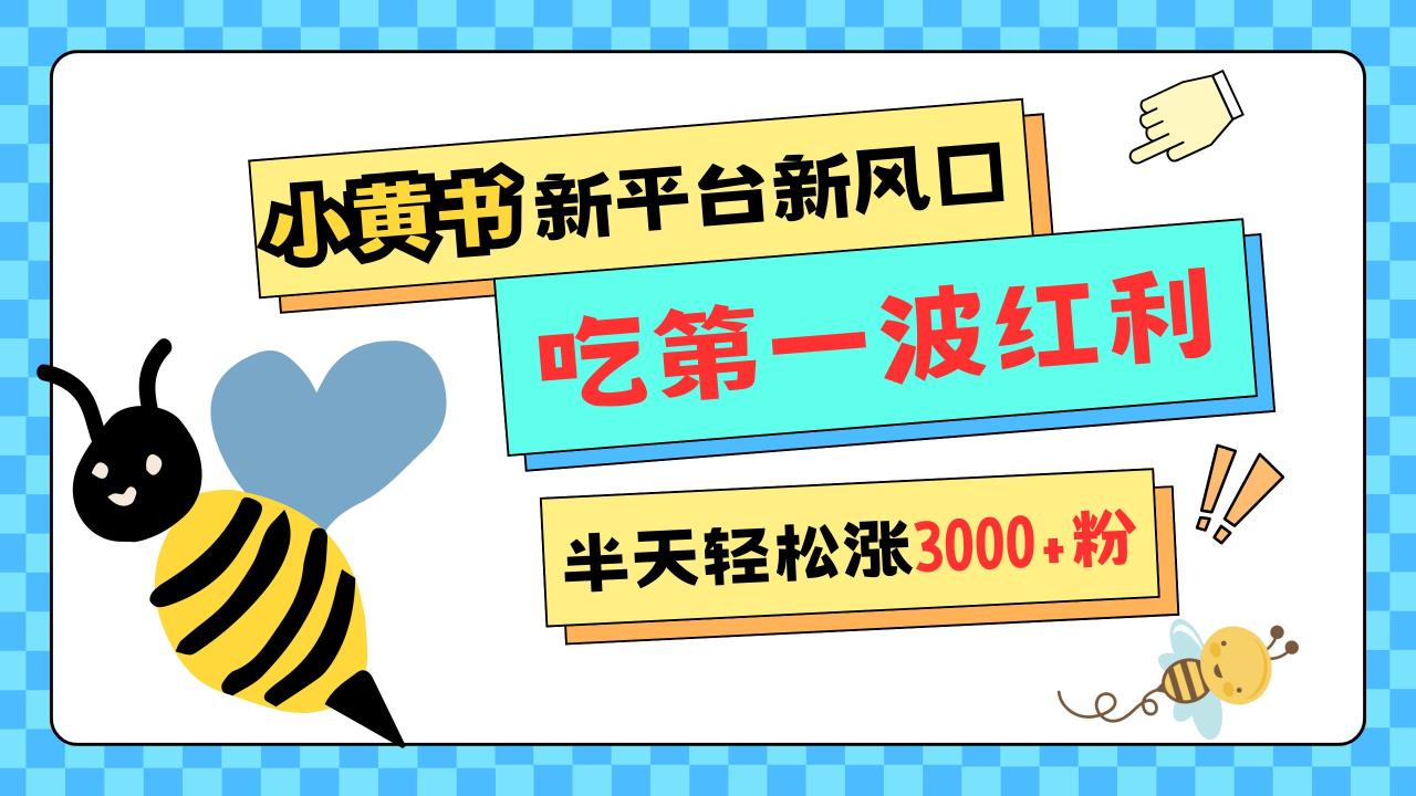 网易版小红书重磅来袭，新平台新风口，管理宽松，半天轻松涨3000粉，第一波红利等你来吃-天天资源网