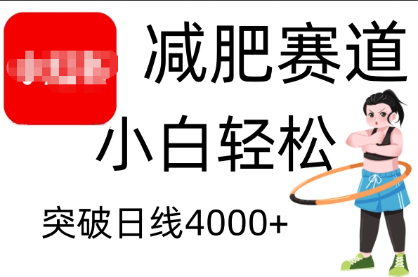 小红书减肥赛道，小白轻松日利润4000+-天天资源网