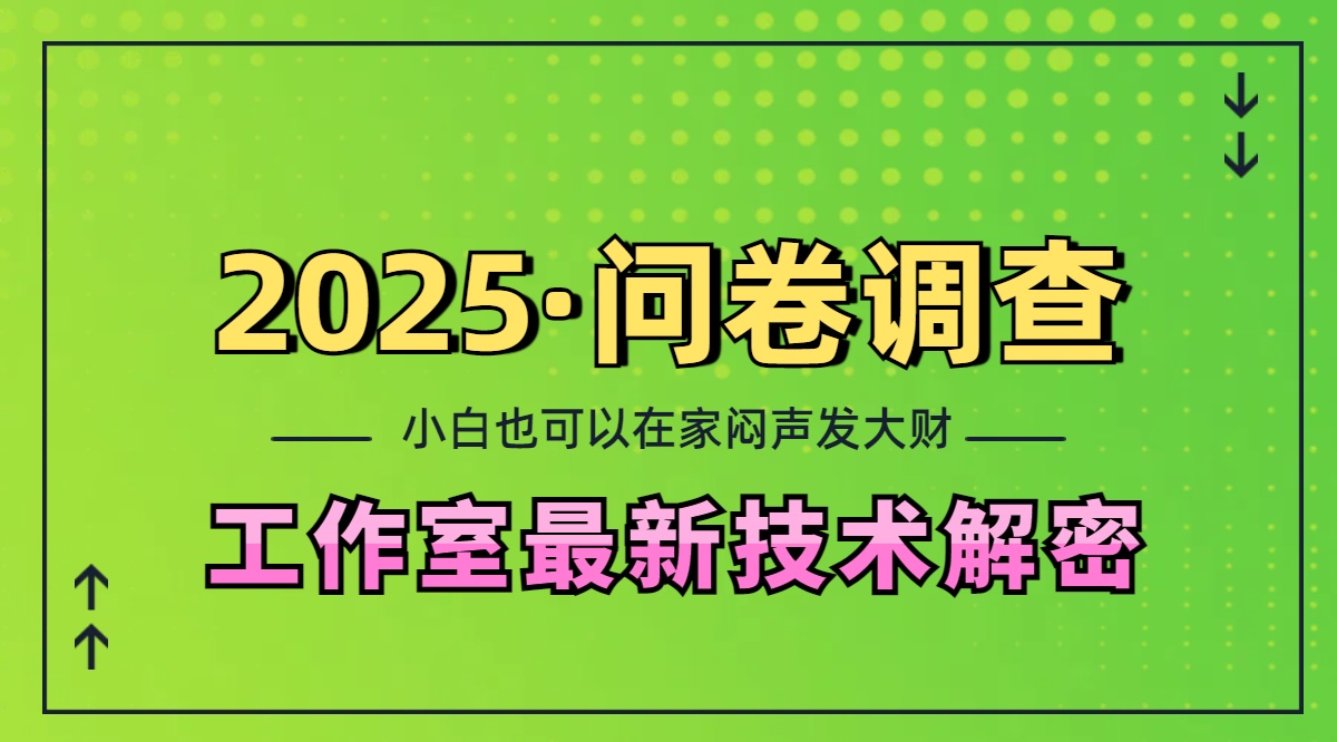 2025《问卷调查》最新工作室技术解密：一个人在家也可以闷声发大财，小白一天200+，可矩阵放大-天天资源网