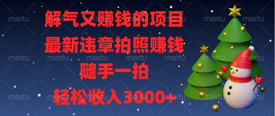 最新违章拍照赚钱，随手一拍，解气又赚钱的项目，轻松收入3000+-天天资源网