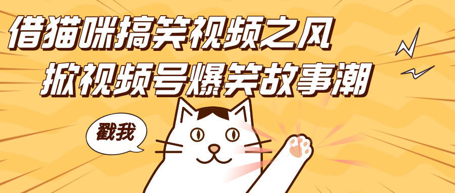 借猫咪搞笑视频之风，掀视频号爆笑故事潮，轻松日赚四位数，开启无门槛赚钱新体验！-天天资源网
