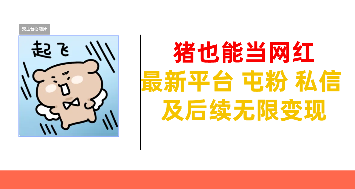 猪也能当网红-最新平台 屯粉 交流 私信 及后续无限变现-天天资源网