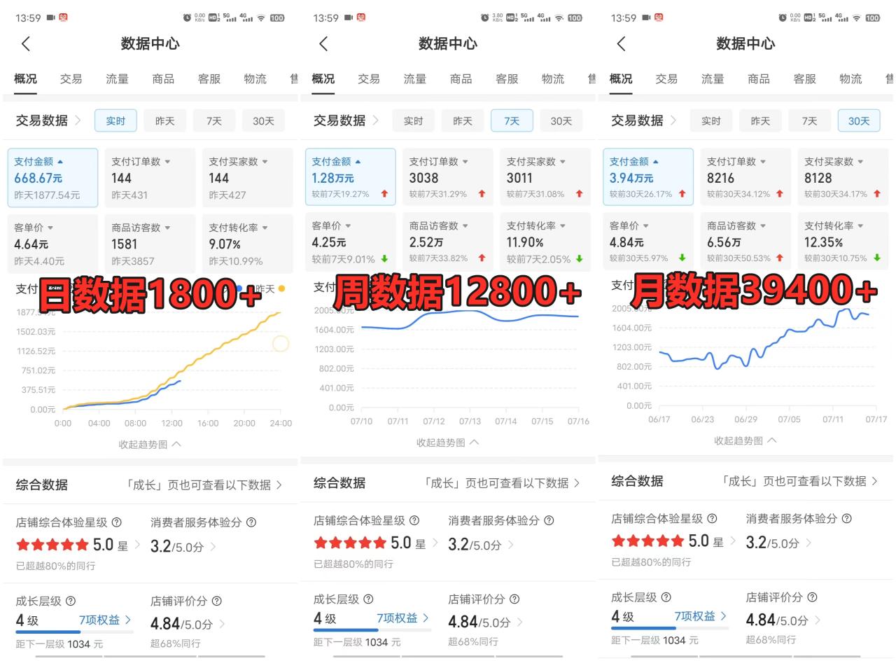 拼多多虚拟店项目，电脑挂机自动发货，单店日利润500+，可放大 副业首选项目 简单易上手-天天资源网