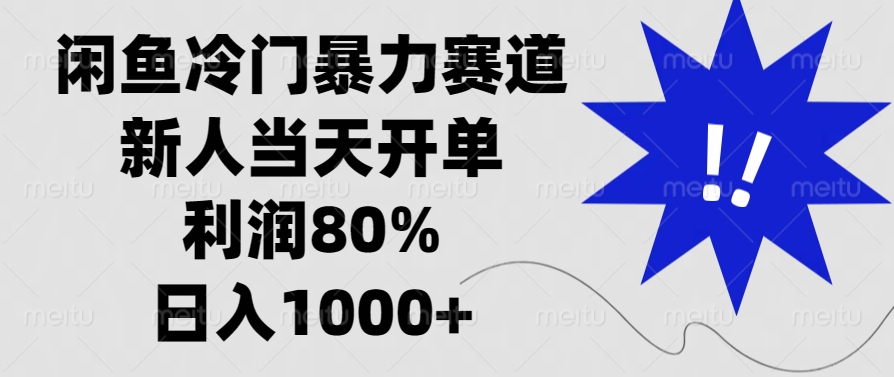 闲鱼冷门暴力赛道，利润80%，日入1000+新人当天开单，-天天资源网