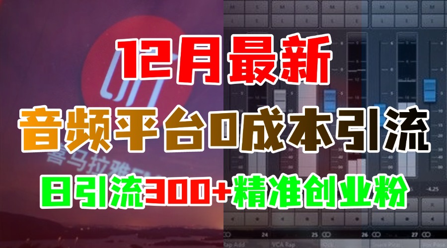 12月最新：音频平台0成本引流，日引300+精准创业粉-天天资源网