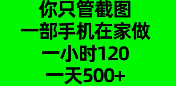 你只管截图，一部手机在家做，一小时120，一天500+-天天资源网