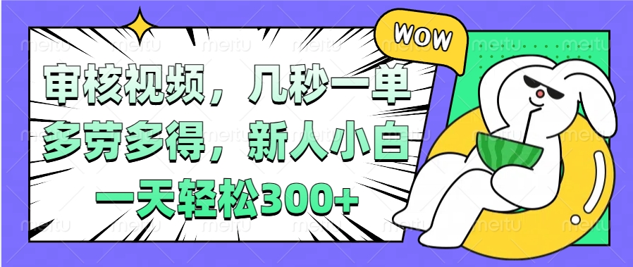 视频审核项目，几秒一单，多劳多得，新人小白一天轻松300+-天天资源网