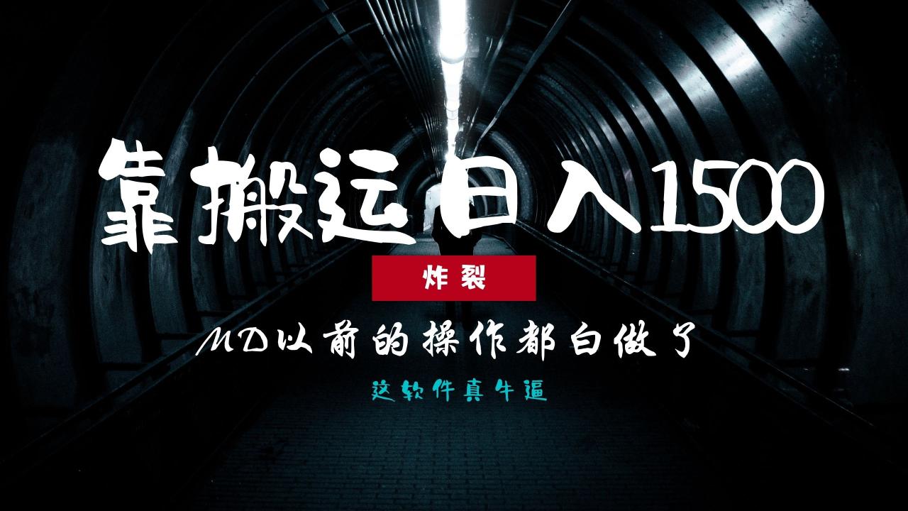 炸裂！0基础搬运也能批量日赚1500+，以前的操作都白做了！-天天资源网