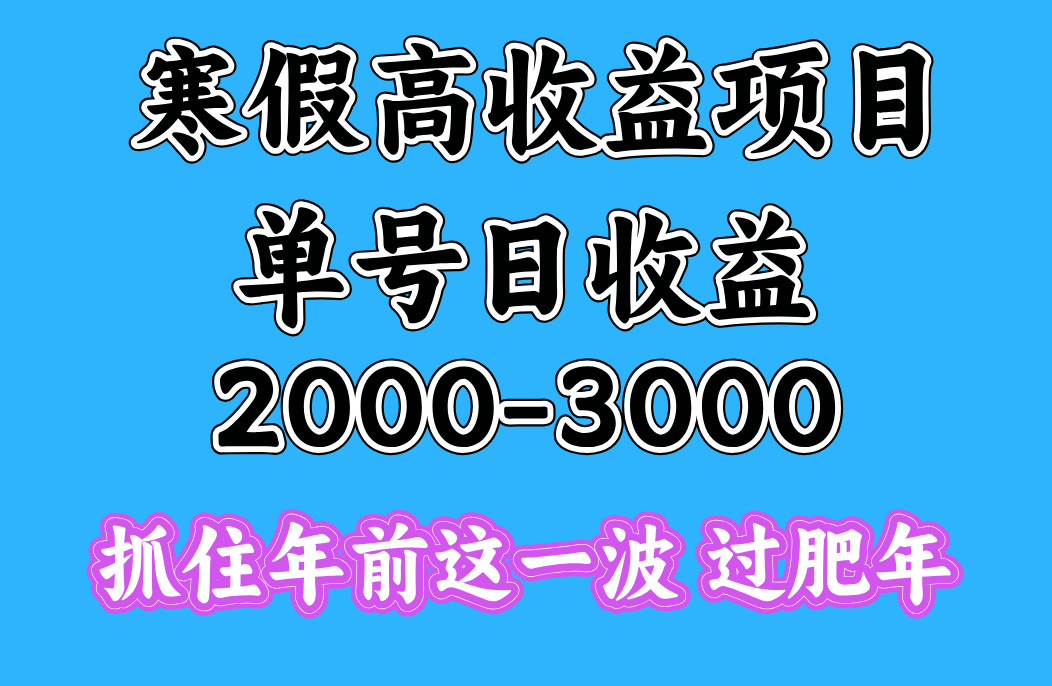 寒假期间一天收益2000-3000+，抓住年前这一波-天天资源网