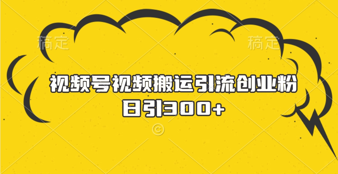 视频号视频搬运引流创业粉，日引300+-天天资源网