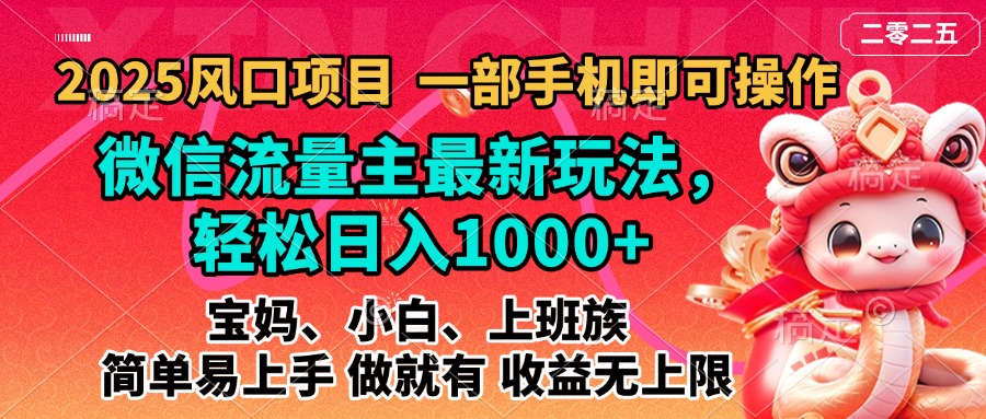 2025蓝海风口项目，微信流量主最新玩法，轻松日入1000+，简单易上手，做就有 收益无上限-天天资源网