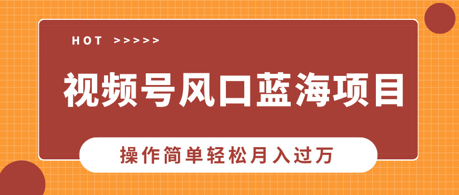 视频号风口蓝海项目，中老年人的流量密码，操作简单轻松月入过万-天天资源网