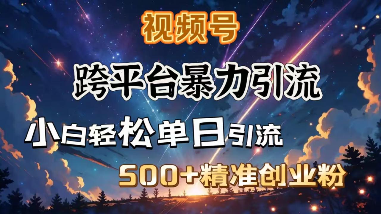 视频号跨平台暴力引流，小白轻松单日引流500＋精准创业粉-天天资源网