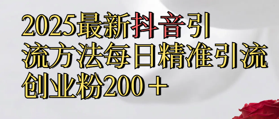2025最新,抖音引流,方法每日精准引流创业粉300＋-天天资源网