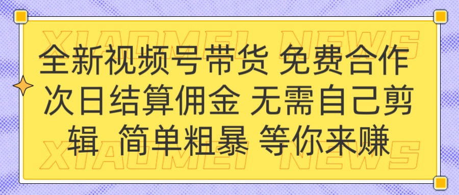 全新视频号 免费合作 佣金次日结算 无需自己剪辑-天天资源网