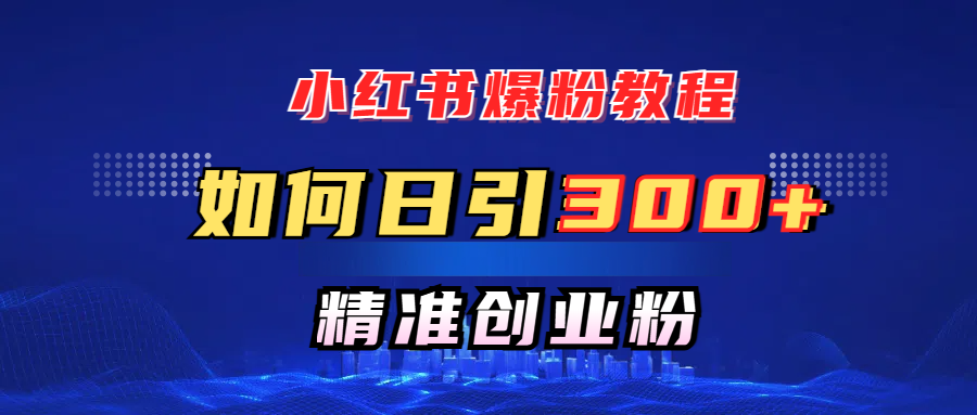 小红书爆粉教程，如何日引300+创业粉，快速实现精准变现！-天天资源网