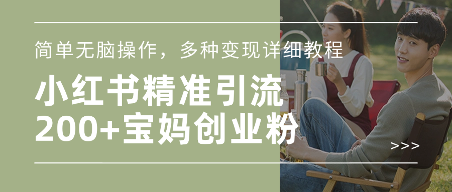 小红书精准日引200+宝妈创业粉，简单无脑操作，多种变现详细教程-天天资源网