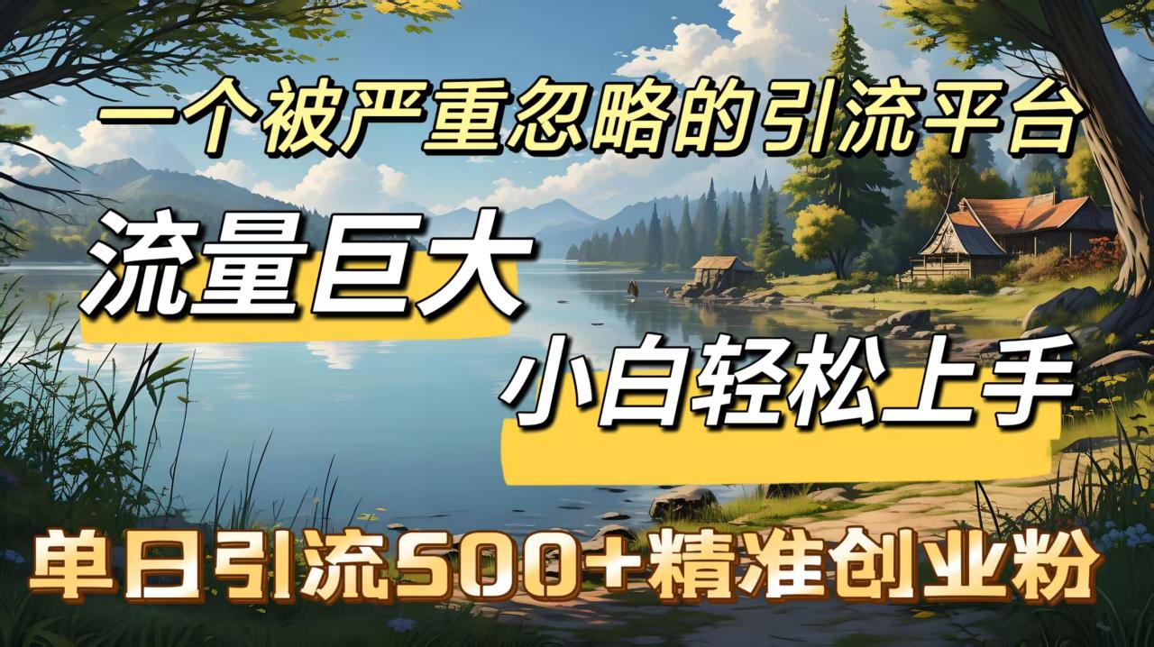 一个被严重忽略的引流平台，流量巨大，小白轻松上手，单日引流500＋精准创业粉-天天资源网