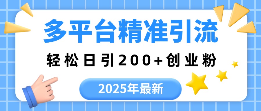 2025年最新多平台精准引流，轻松日引200+-天天资源网