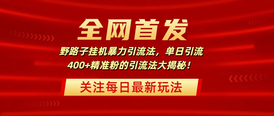全网首发，野路子挂机暴力引流法，单日引流400+精准粉的引流法大揭秘！-天天资源网