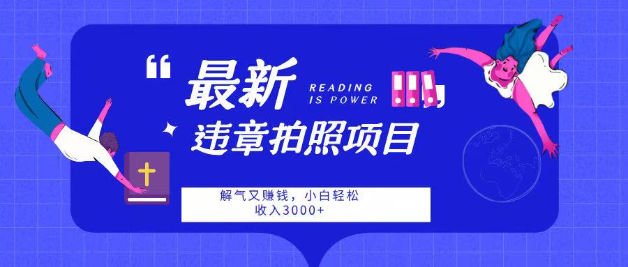 最新违章拍照项目，解气又赚钱，随手一拍，轻松收入3000-天天资源网