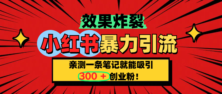 小红书炸裂玩法，亲测一条笔记就能吸引300+精准创业粉！-天天资源网