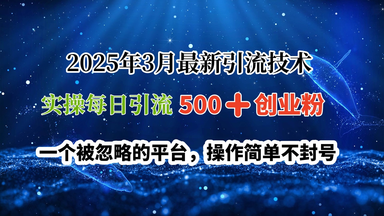 2025年3月最新引流技术，实操每日引流500➕创业粉，一个被忽略的平台，操作简单不封号-天天资源网