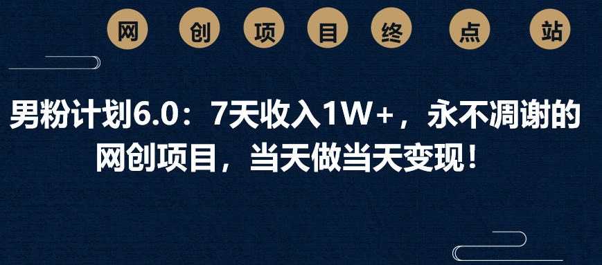 男粉计划6.0：7天收入1W+，永不凋谢的网创项目，当天做当天变现！-天天资源网