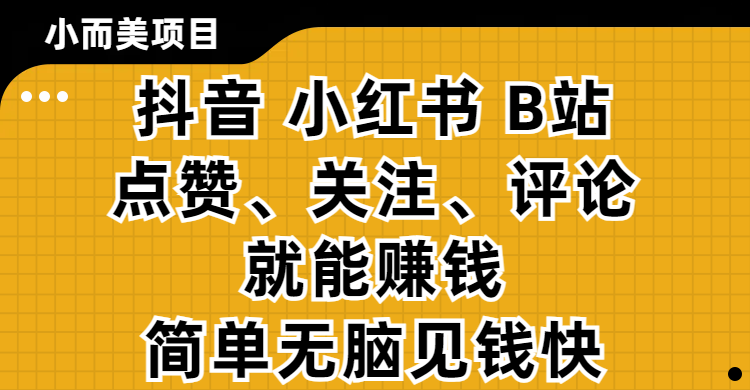 小而美的项目，抖音、小红书、B站视频点赞、关注、评论就能赚钱，简单无脑立见收益！妥妥的零撸项目-天天资源网