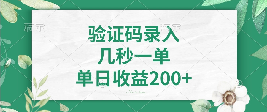 验证码录入，看图识字，几秒一单，单日收益200+-天天资源网