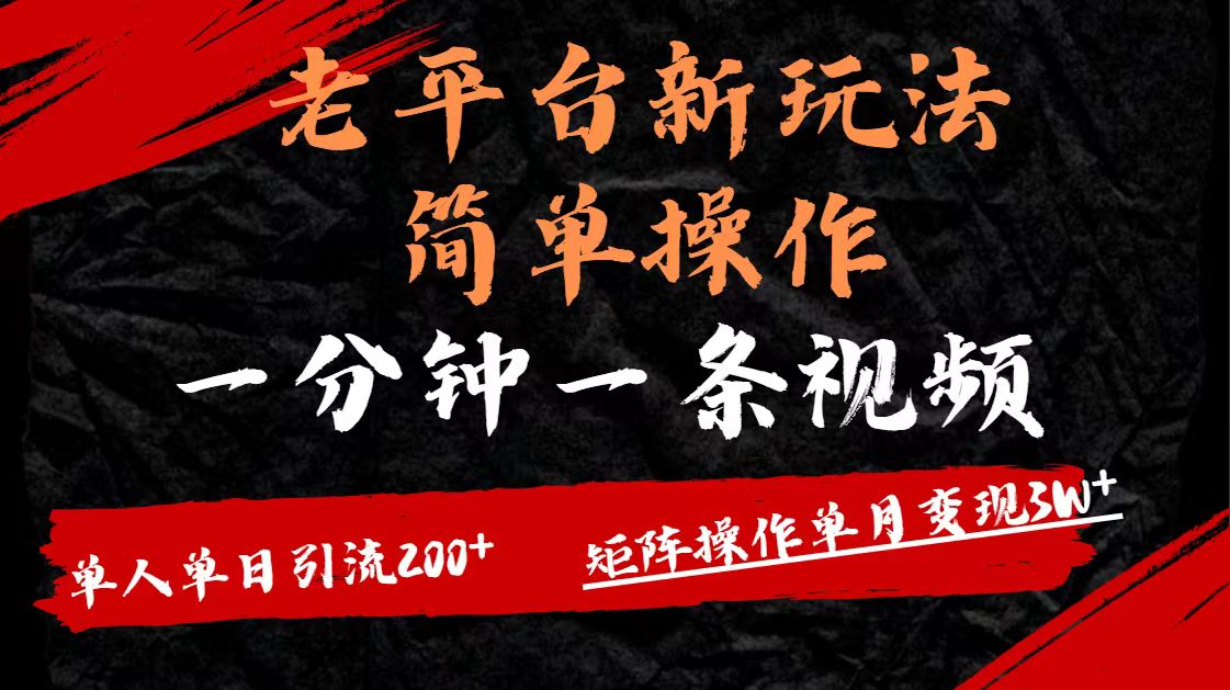 老平台，新玩法，简单操作，一分钟一条视频，单人单人引流200+矩阵操作，单月变现3W-天天资源网