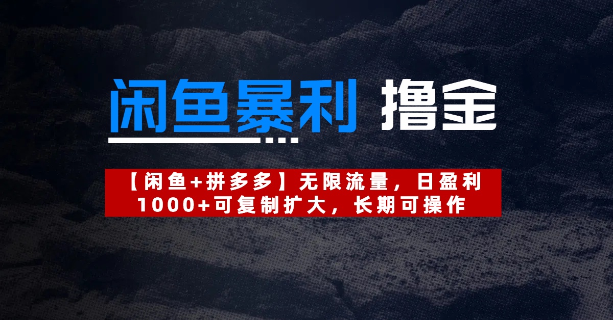 【闲鱼暴利撸金】无限流量，日盈利1000+可复制扩大，长期可操作-天天资源网