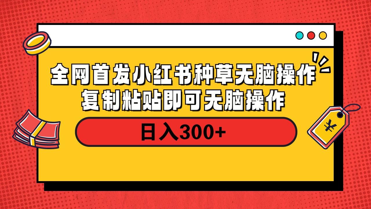 全网首发 小红书种草无脑操作复制黏贴即可 轻松日入300+-天天资源网