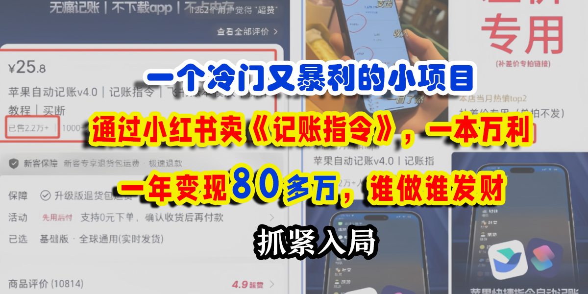 一个冷门又暴利的小项目，通过小红书卖《记账指令》，一本万利，一年变现80多万，谁做谁发财-天天资源网