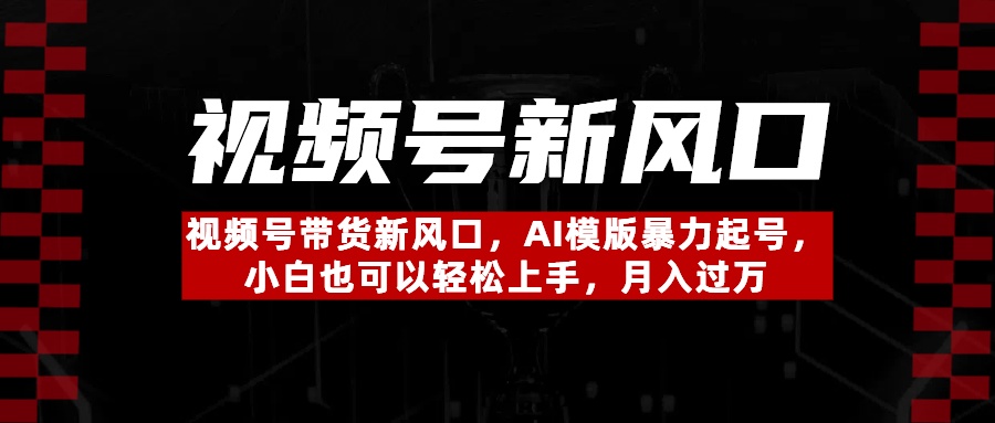 视频号带货新风口，AI模版暴力起号，小白也可以轻松上手，月入过万-天天资源网