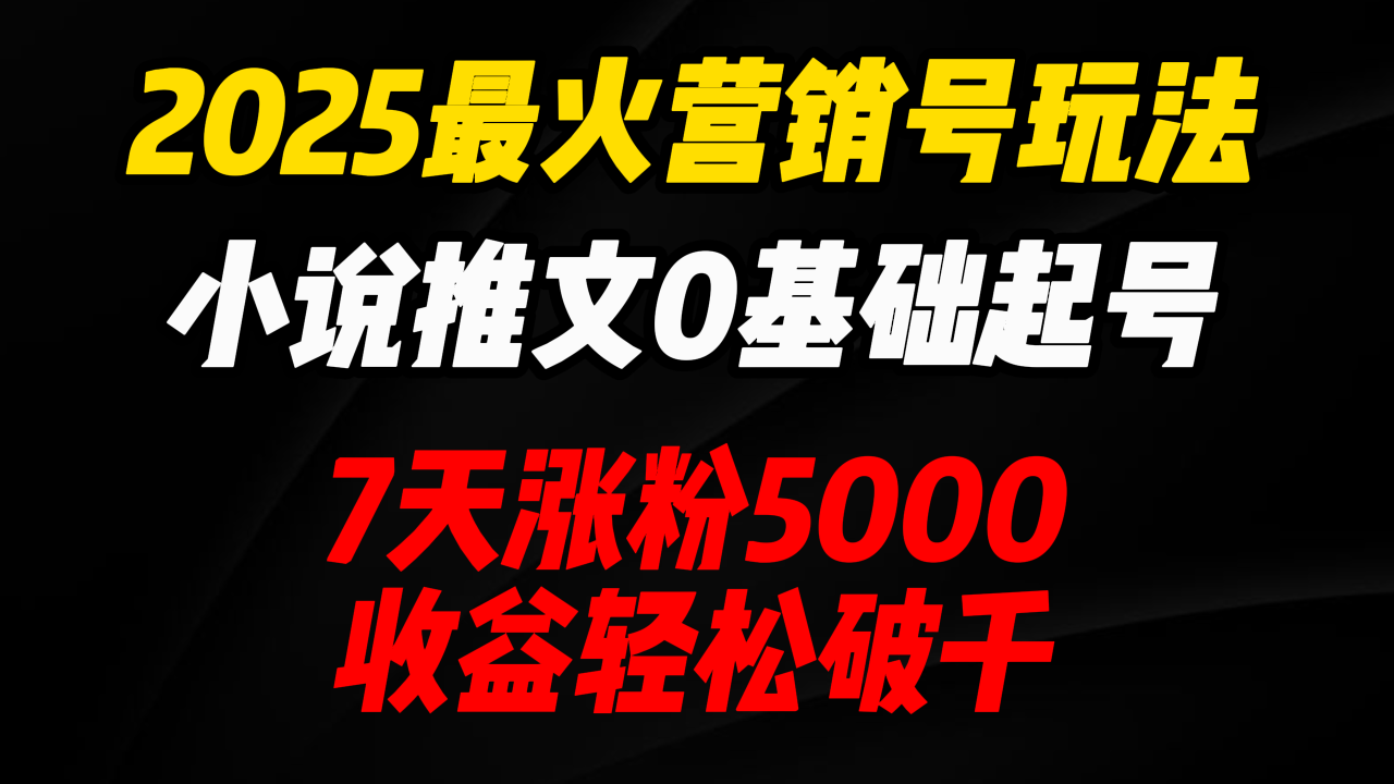 2025最火营销号玩法：小说推文0基础起号，7天涨粉5000，收益轻松破千！-天天资源网