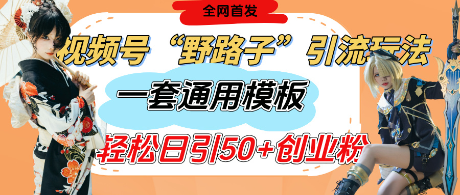视频号“野路子”玩法，评论区疯狂截流，一套模板单日单号引流50+创业粉-天天资源网